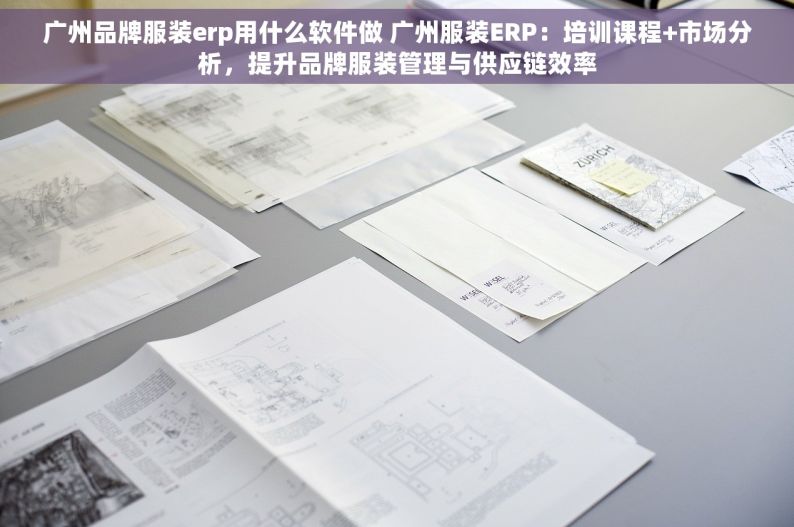 广州品牌服装erp用什么软件做 广州服装ERP：培训课程+市场分析，提升品牌服装管理与供应链效率