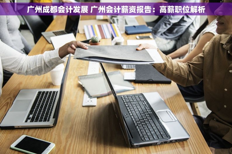 广州成都会计发展 广州会计薪资报告：高薪职位解析