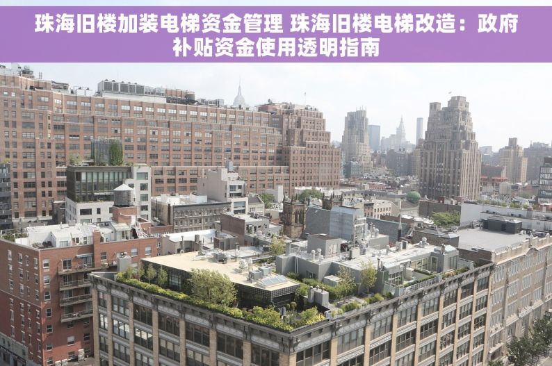 珠海旧楼加装电梯资金管理 珠海旧楼电梯改造：政府补贴资金使用透明指南