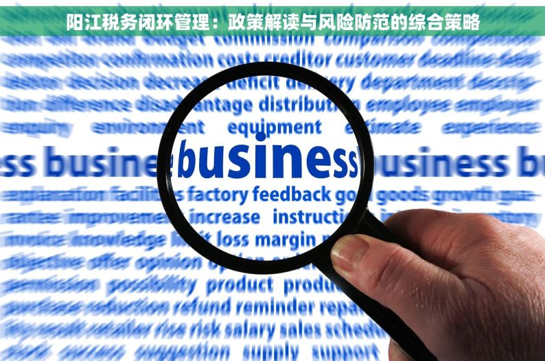 阳江税务闭环管理：政策解读与风险防范的综合策略