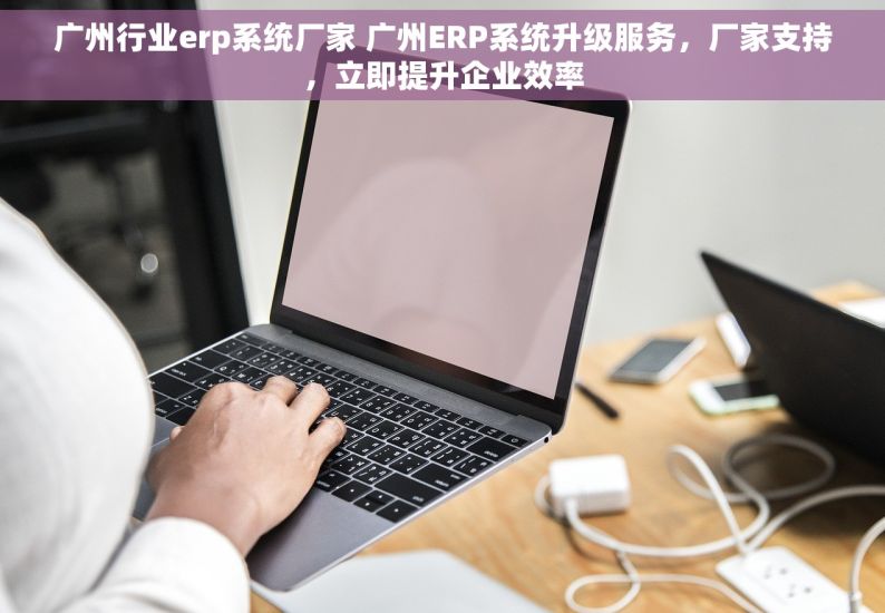 广州行业erp系统厂家 广州ERP系统升级服务，厂家支持，立即提升企业效率