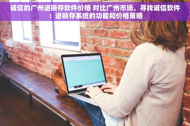 诚信的广州进销存软件价格 对比广州市场，寻找诚信软件：进销存系统的功能和价格策略