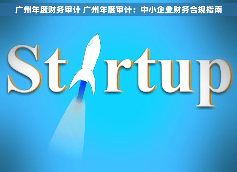 广州年度财务审计 广州年度审计：中小企业财务合规指南