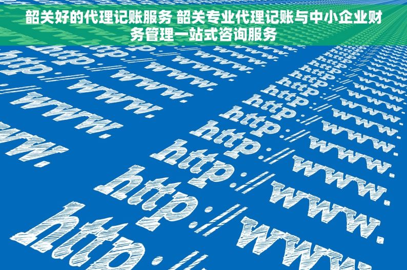 韶关好的代理记账服务 韶关专业代理记账与中小企业财务管理一站式咨询服务