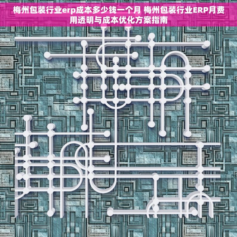 梅州包装行业erp成本多少钱一个月 梅州包装行业ERP月费用透明与成本优化方案指南