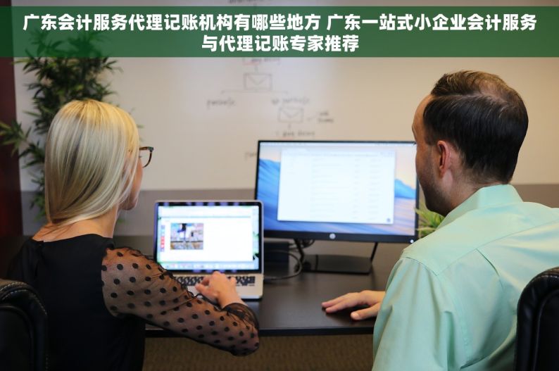 广东会计服务代理记账机构有哪些地方 广东一站式小企业会计服务与代理记账专家推荐