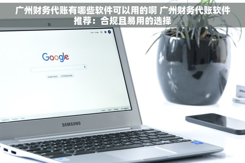 广州财务代账有哪些软件可以用的啊 广州财务代账软件推荐：合规且易用的选择