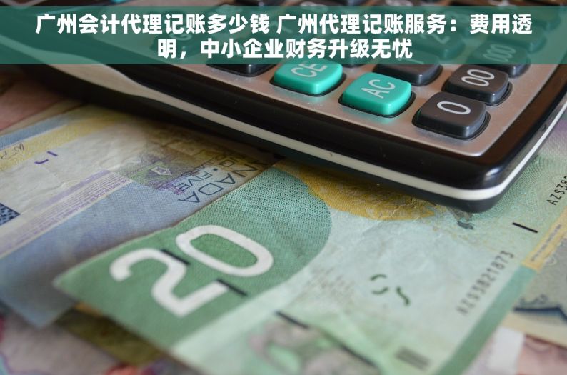 广州会计代理记账多少钱 广州代理记账服务：费用透明，中小企业财务升级无忧