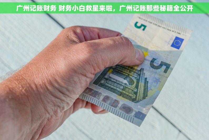广州记账财务 财务小白救星来啦，广州记账那些秘籍全公开
