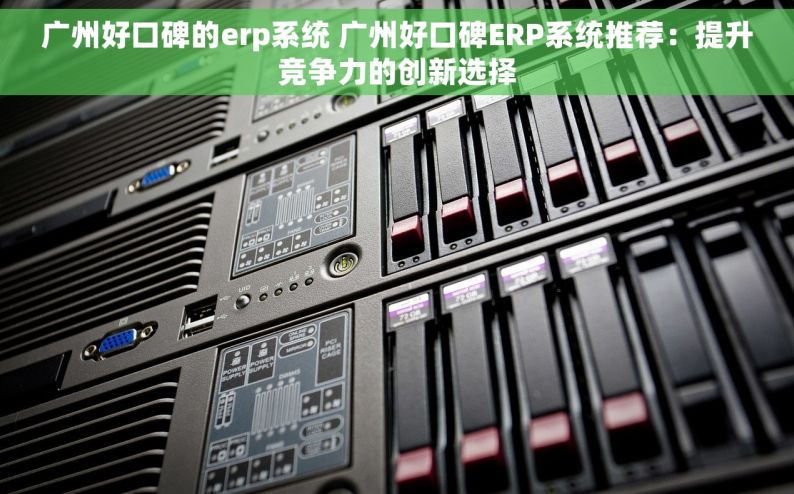 广州好口碑的erp系统 广州好口碑ERP系统推荐：提升竞争力的创新选择