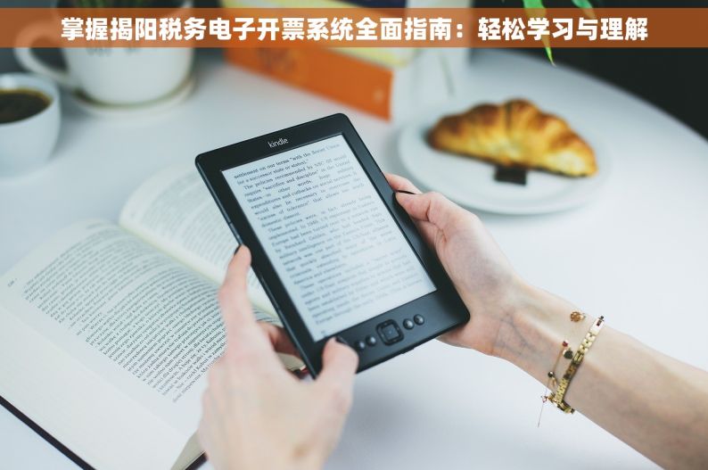 掌握揭阳税务电子开票系统全面指南：轻松学习与理解