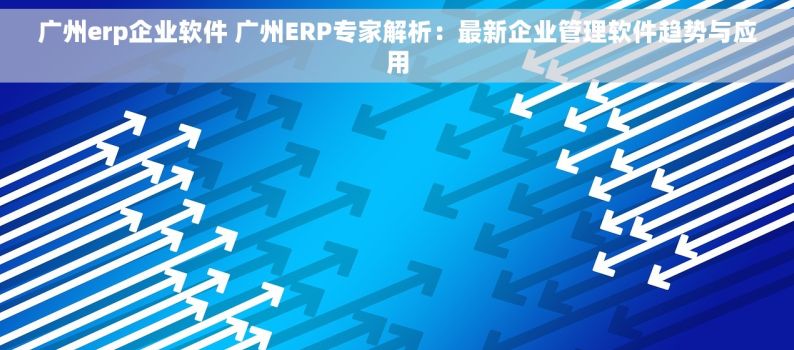 广州erp企业软件 广州ERP专家解析：最新企业管理软件趋势与应用
