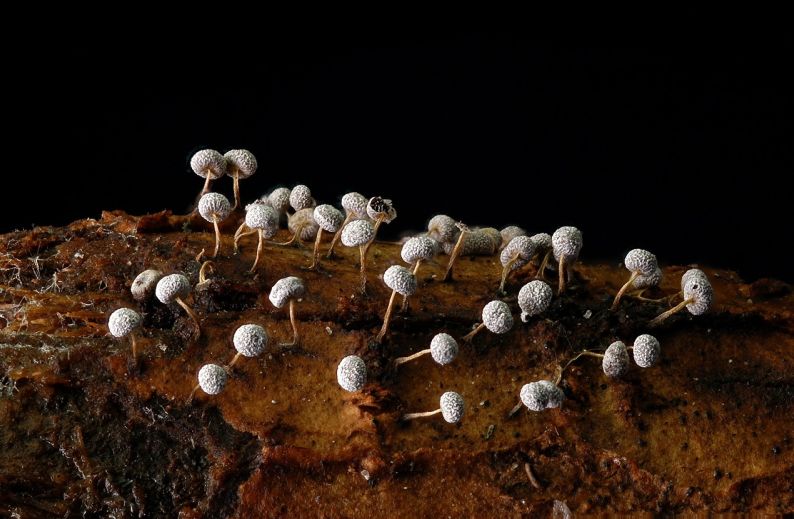 广州erp哪里好 广州ERP市场最新动态：年度排行榜揭示最佳选择