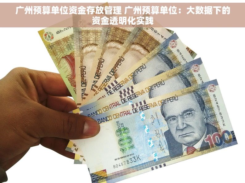 广州预算单位资金存放管理 广州预算单位：大数据下的资金透明化实践
