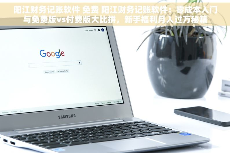 阳江财务记账软件 免费 阳江财务记账软件：零成本入门与免费版vs付费版大比拼，新手福利月入过万秘籍