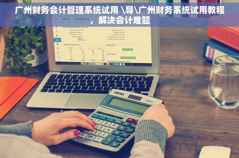 广州财务会计管理系统试用 \导\广州财务系统试用教程，解决会计难题