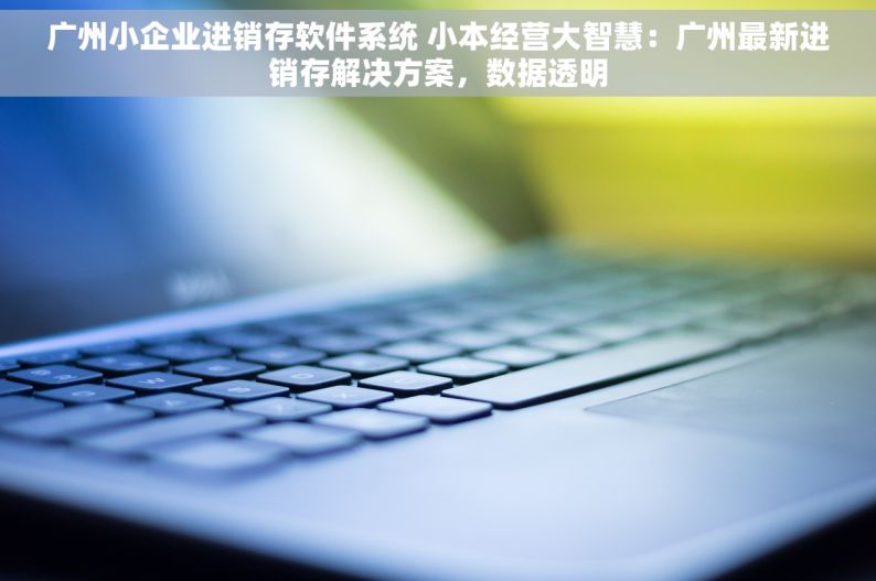 广州小企业进销存软件系统 小本经营大智慧：广州最新进销存解决方案，数据透明