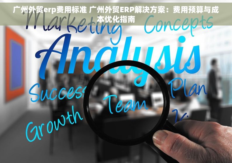 广州外贸erp费用标准 广州外贸ERP解决方案：费用预算与成本优化指南