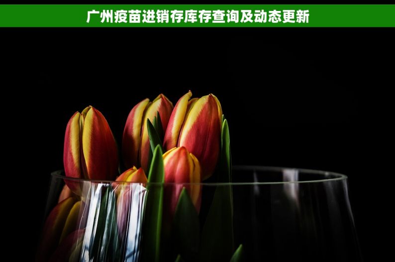广州疫苗进销存库存查询及动态更新