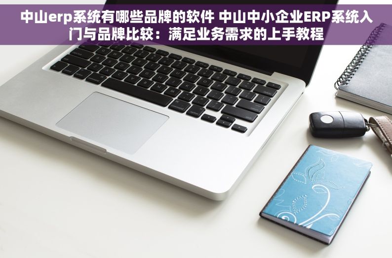 中山erp系统有哪些品牌的软件 中山中小企业ERP系统入门与品牌比较：满足业务需求的上手教程