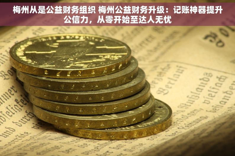 梅州从是公益财务组织 梅州公益财务升级：记账神器提升公信力，从零开始至达人无忧