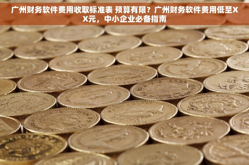广州财务软件费用收取标准表 预算有限？广州财务软件费用低至XX元，中小企业必备指南