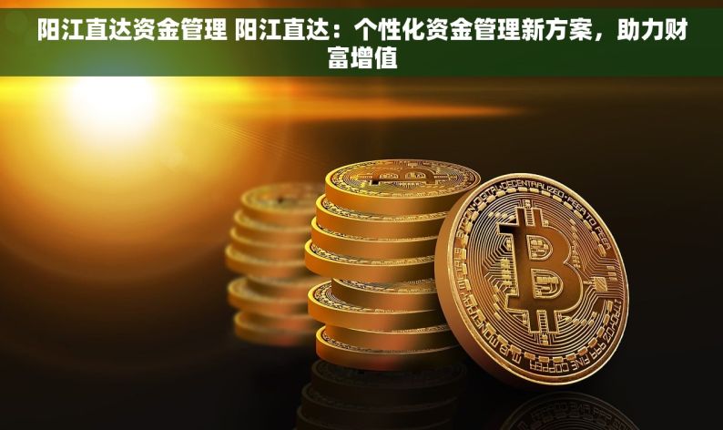 阳江直达资金管理 阳江直达：个性化资金管理新方案，助力财富增值