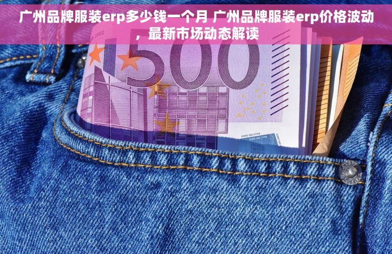 广州品牌服装erp多少钱一个月 广州品牌服装erp价格波动，最新市场动态解读