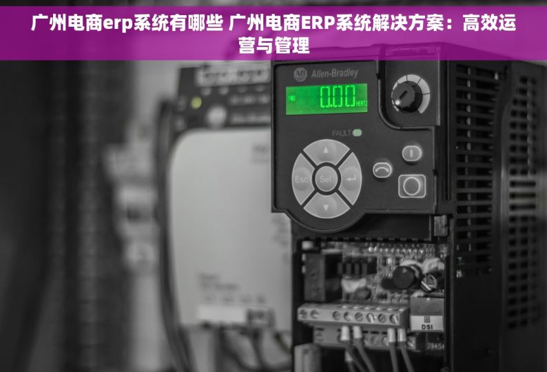 广州电商erp系统有哪些 广州电商ERP系统解决方案：高效运营与管理