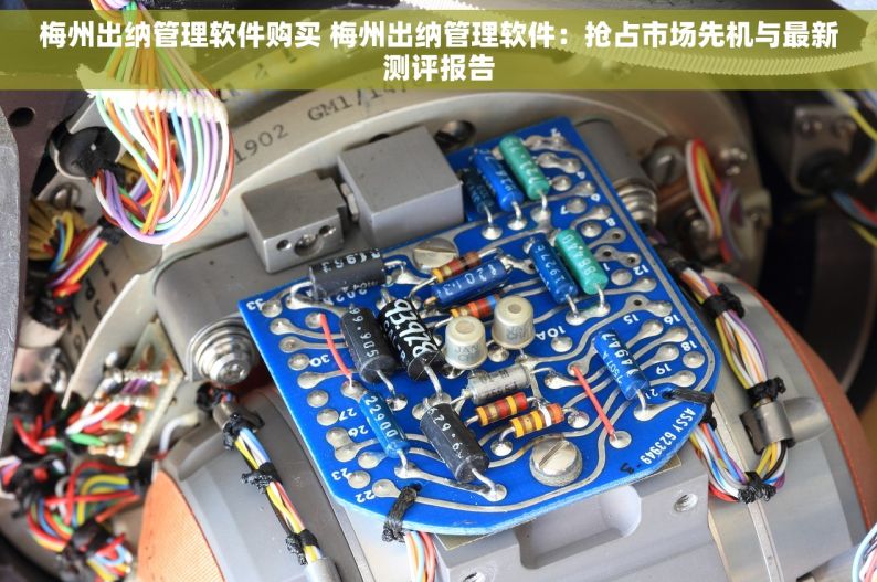 梅州出纳管理软件购买 梅州出纳管理软件：抢占市场先机与最新测评报告