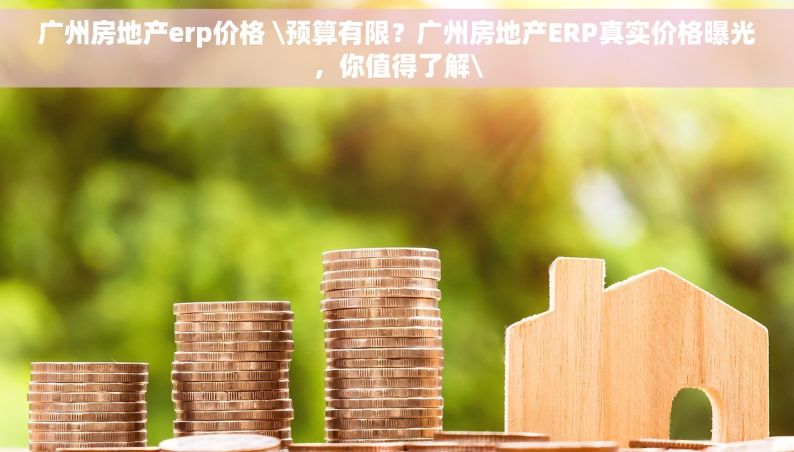 广州房地产erp价格 \预算有限？广州房地产ERP真实价格曝光，你值得了解\