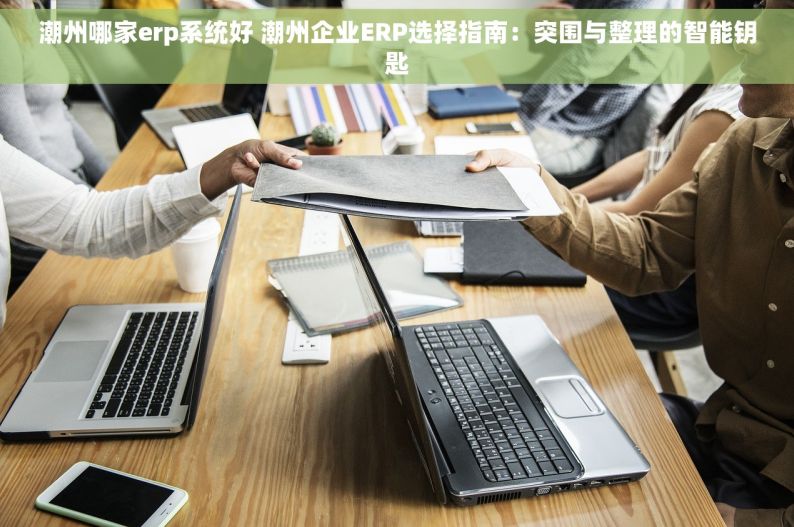 潮州哪家erp系统好 潮州企业ERP选择指南：突围与整理的智能钥匙
