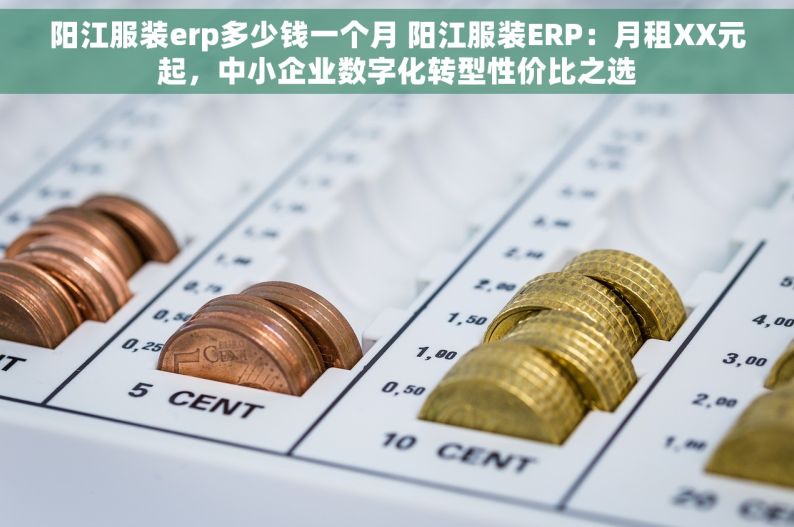 阳江服装erp多少钱一个月 阳江服装ERP：月租XX元起，中小企业数字化转型性价比之选