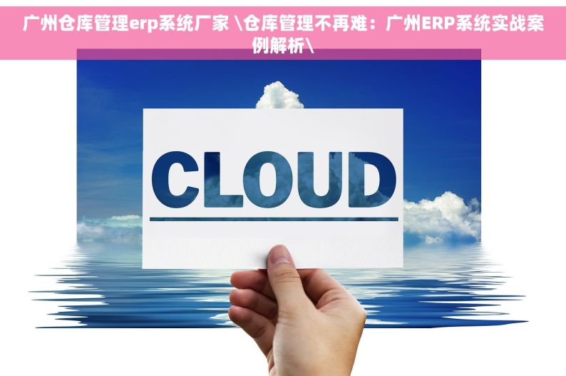 广州仓库管理erp系统厂家 \仓库管理不再难：广州ERP系统实战案例解析\