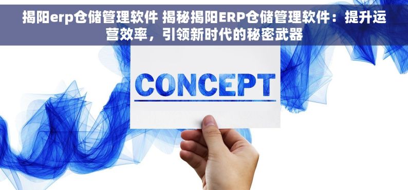 揭阳erp仓储管理软件 揭秘揭阳ERP仓储管理软件：提升运营效率，引领新时代的秘密武器
