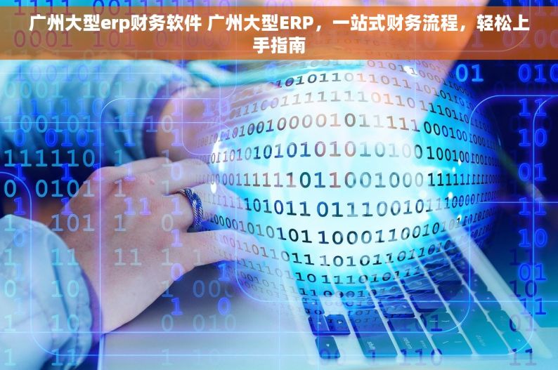 广州大型erp财务软件 广州大型ERP，一站式财务流程，轻松上手指南