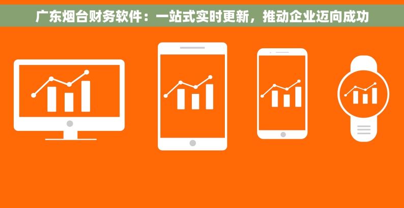 广东烟台财务软件：一站式实时更新，推动企业迈向成功