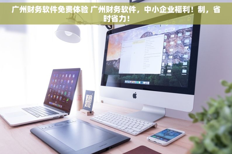 广州财务软件免费体验 广州财务软件，中小企业福利！制，省时省力！
