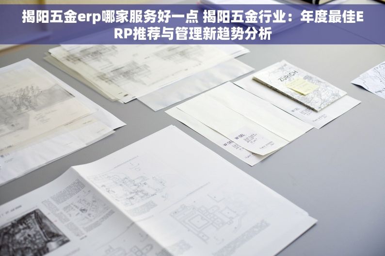 揭阳五金erp哪家服务好一点 揭阳五金行业：年度最佳ERP推荐与管理新趋势分析