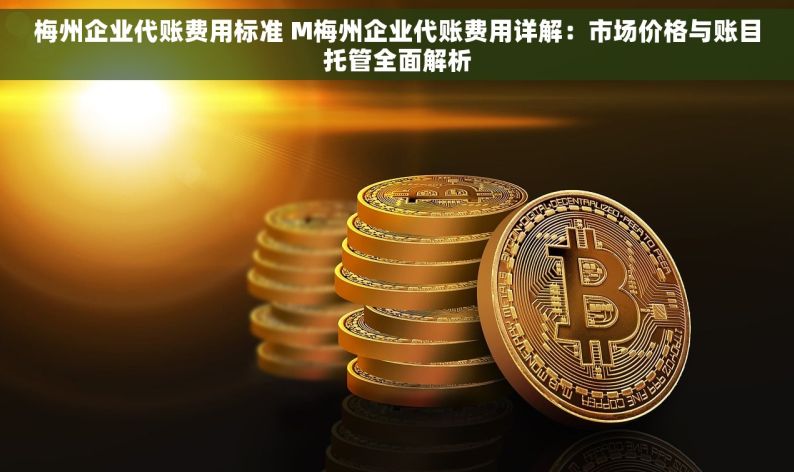 梅州企业代账费用标准 M梅州企业代账费用详解：市场价格与账目托管全面解析