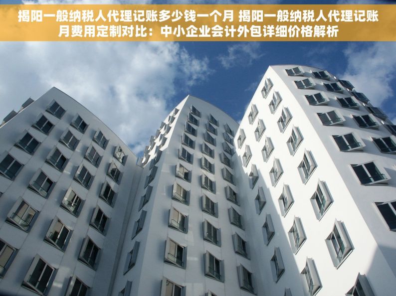 揭阳一般纳税人代理记账多少钱一个月 揭阳一般纳税人代理记账月费用定制对比：中小企业会计外包详细价格解析