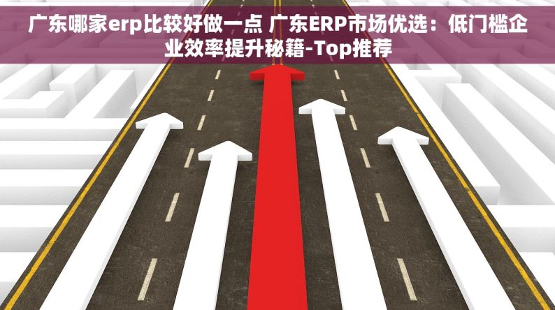 广东哪家erp比较好做一点 广东ERP市场优选：低门槛企业效率提升秘籍-Top推荐