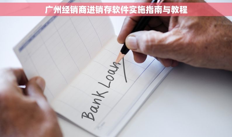 广州经销商进销存软件实施指南与教程