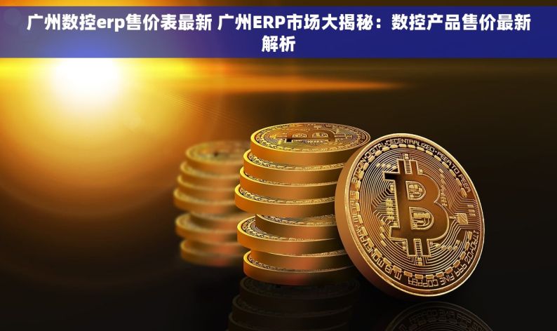 广州数控erp售价表最新 广州ERP市场大揭秘：数控产品售价最新解析