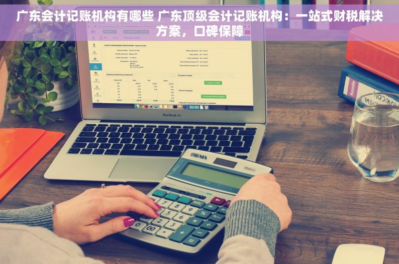 广东会计记账机构有哪些 广东顶级会计记账机构：一站式财税解决方案，口碑保障