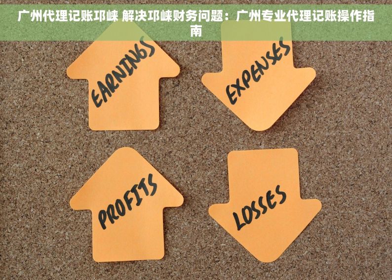广州代理记账邛崃 解决邛崃财务问题：广州专业代理记账操作指南
