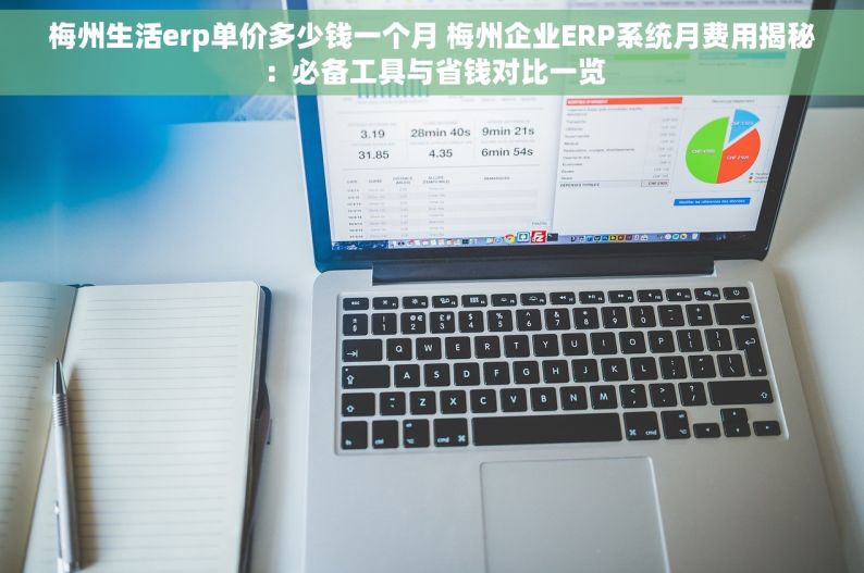 梅州生活erp单价多少钱一个月 梅州企业ERP系统月费用揭秘：必备工具与省钱对比一览