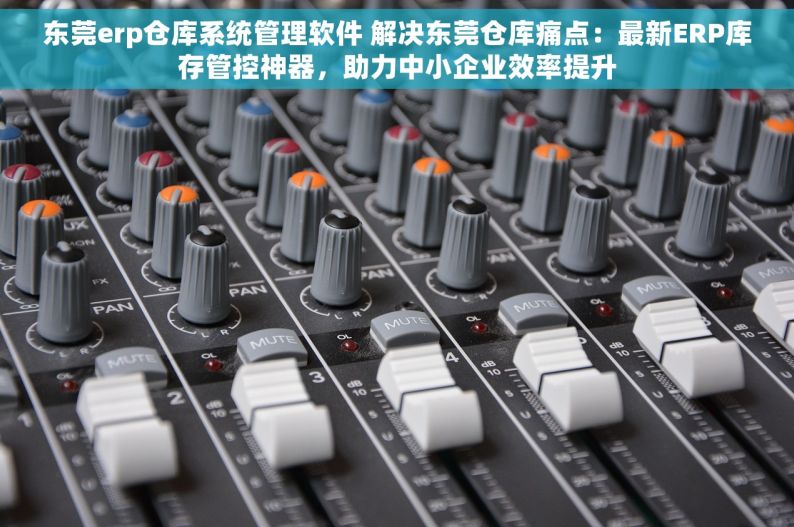 东莞erp仓库系统管理软件 解决东莞仓库痛点：最新ERP库存管控神器，助力中小企业效率提升