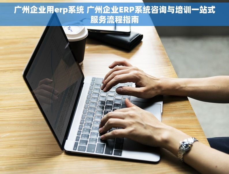 广州企业用erp系统 广州企业ERP系统咨询与培训一站式服务流程指南