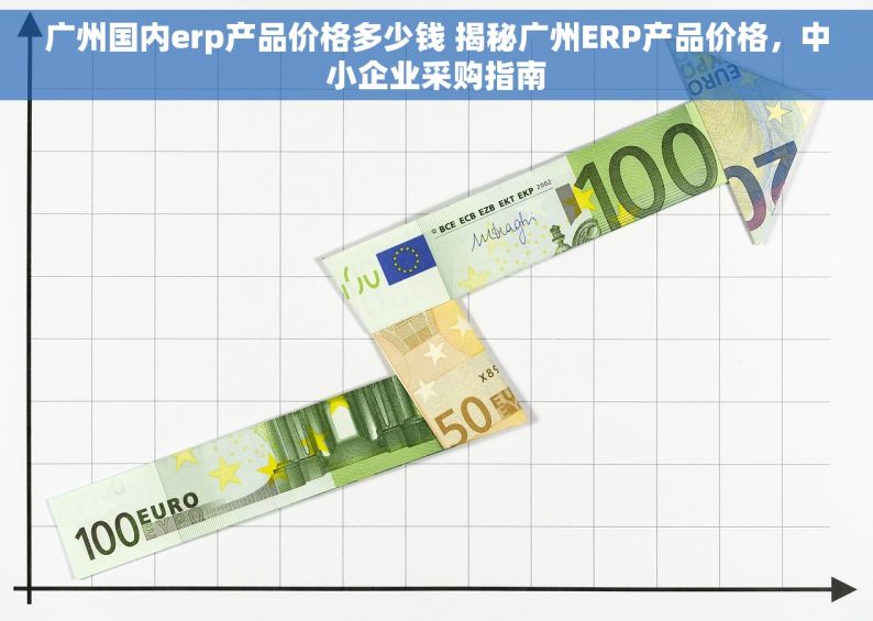广州国内erp产品价格多少钱 揭秘广州ERP产品价格，中小企业采购指南